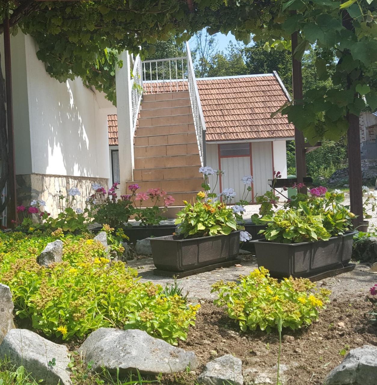 House Luketic Hotel Rastovača Eksteriør billede